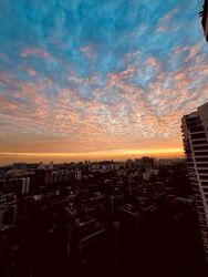 D'Leedon (D10), Condominium #617679631